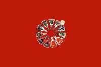 灵宝回收红酒